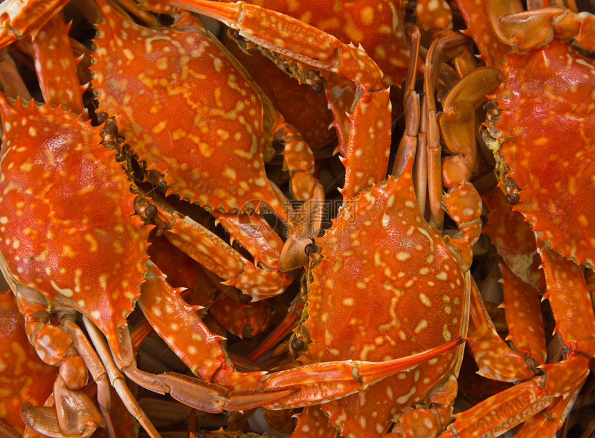 蓝螃蟹煮熟烹饪红色餐厅食物美食海鲜橙子图片