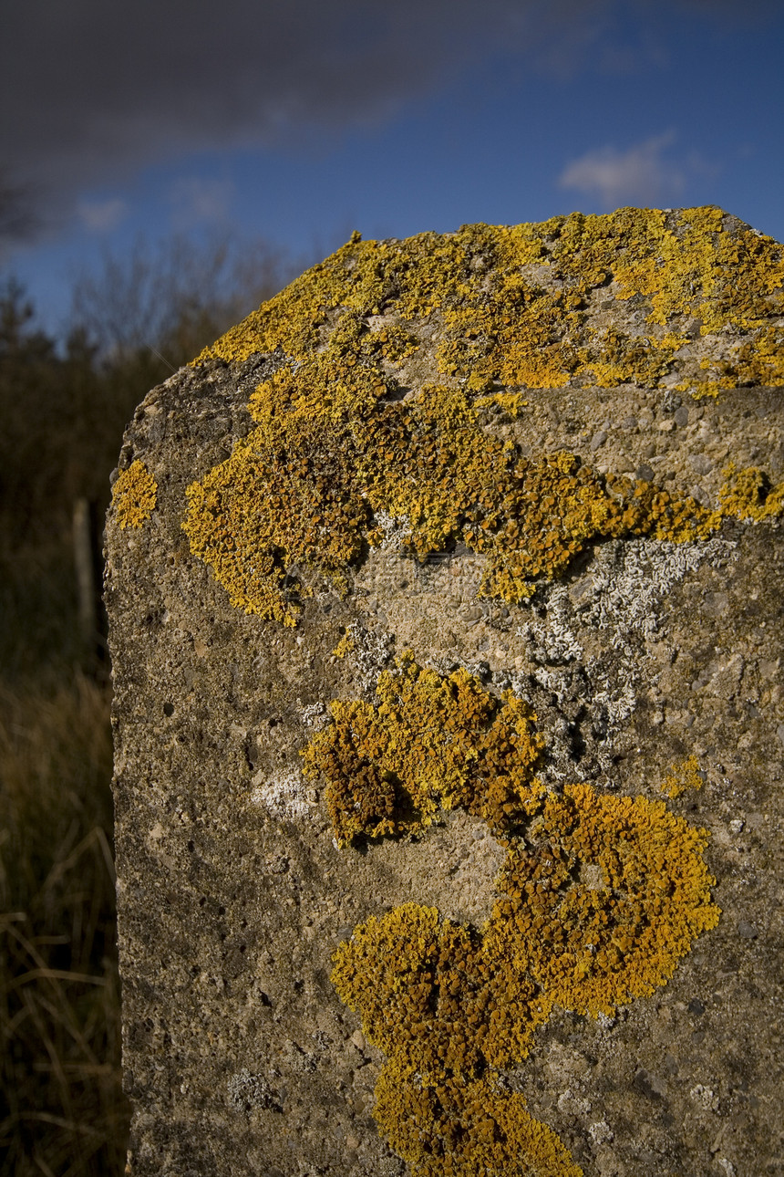 石墙上的水泥岩石石头苔藓天空植物植物群地衣蓝色图片