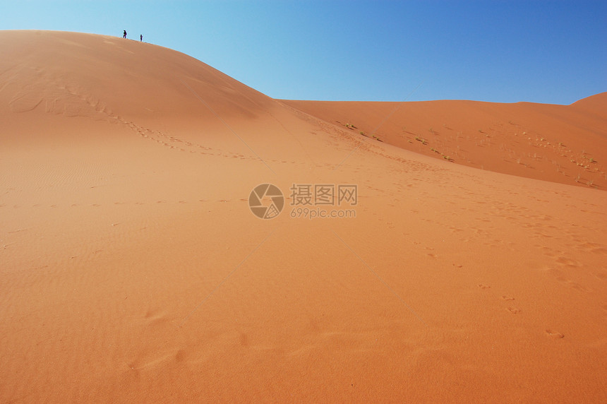 在沙丘的顶端旅行游客艺术风景死亡纳米布旅游干旱男人曲线图片