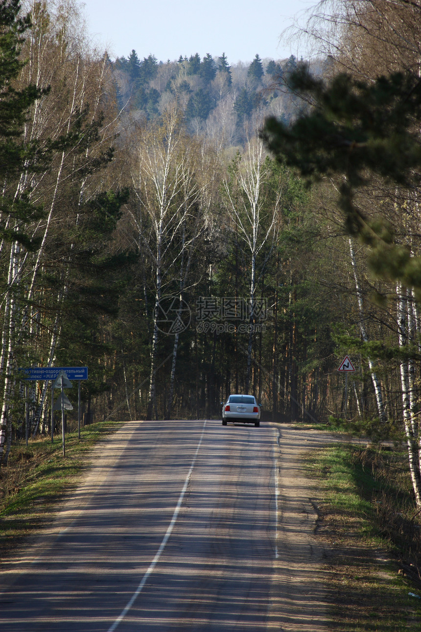 木柴中的公路森林国家车路沥青风景林地图片