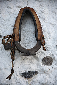 圆环马匹装饰皮革乡村马具风格背景图片