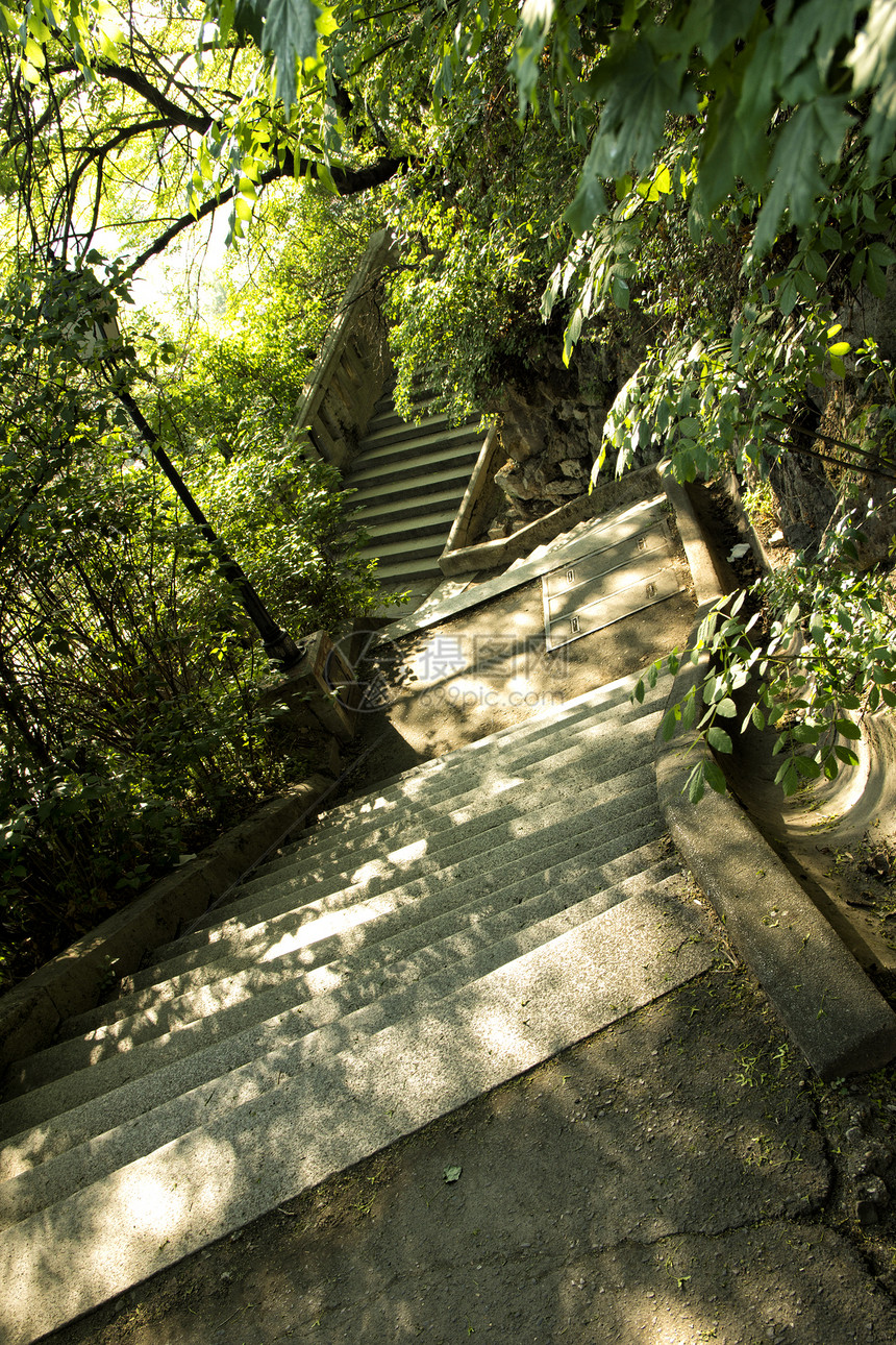 在公园的楼梯上金属植物旅行假期森林石头景观首都场景木头图片