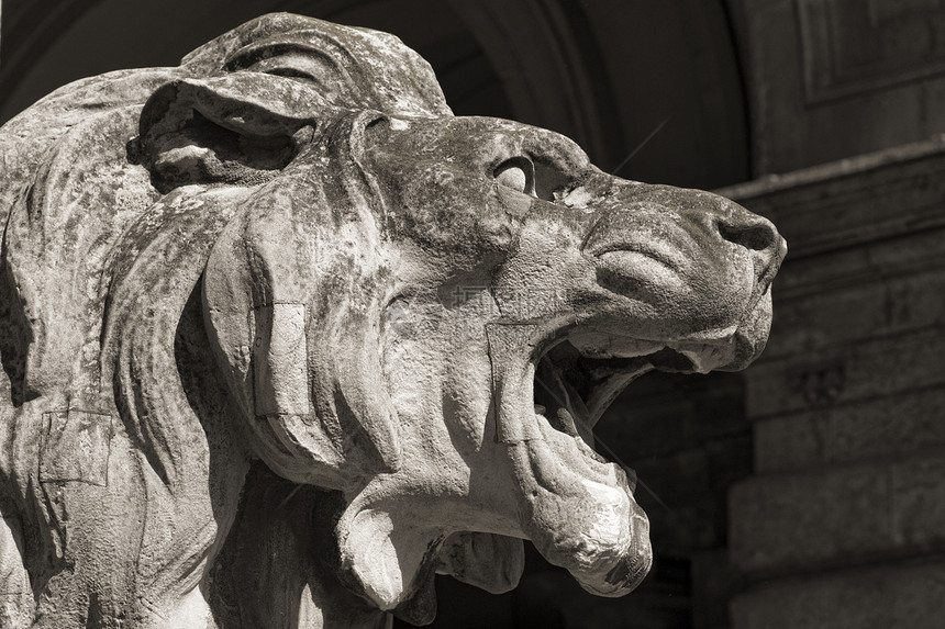 狮子雕像的头 最萌芽的地标石头害虫观察者建筑学历史旅游首都场景旅行图片