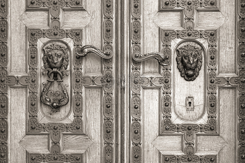 圣史蒂芬巴西利卡的木门大教堂金属青铜戒指入口木头全景寺庙宗教旅行图片