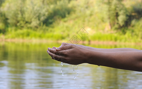 水生态液体手指棕榈背景图片