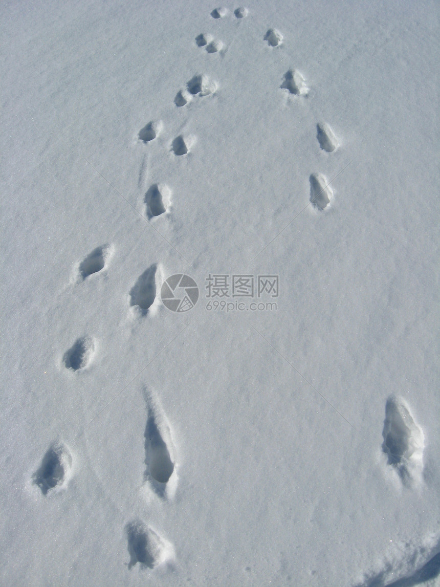 雪上踪迹状况艺术船蛆雪花光圈季节动物创造力降雪交易图片