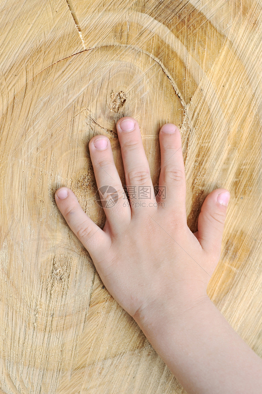 儿童手放在一个老树桩上生活青年木头童年身体家庭手指老年皮肤孩子图片