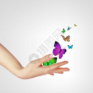 释放蝴蝶的手翅膀自由蓝色紫色空气漏洞飞行动物触角彩虹背景图片