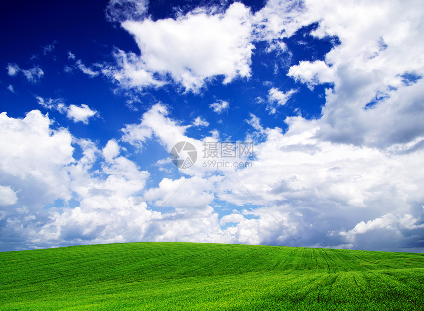 绿绿地牧场太阳生长远景场地植物阳光蓝色地平线天空图片