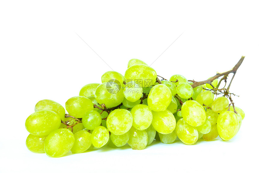 葡萄绿色食物水果营养叶子藤蔓饮食维生素图片