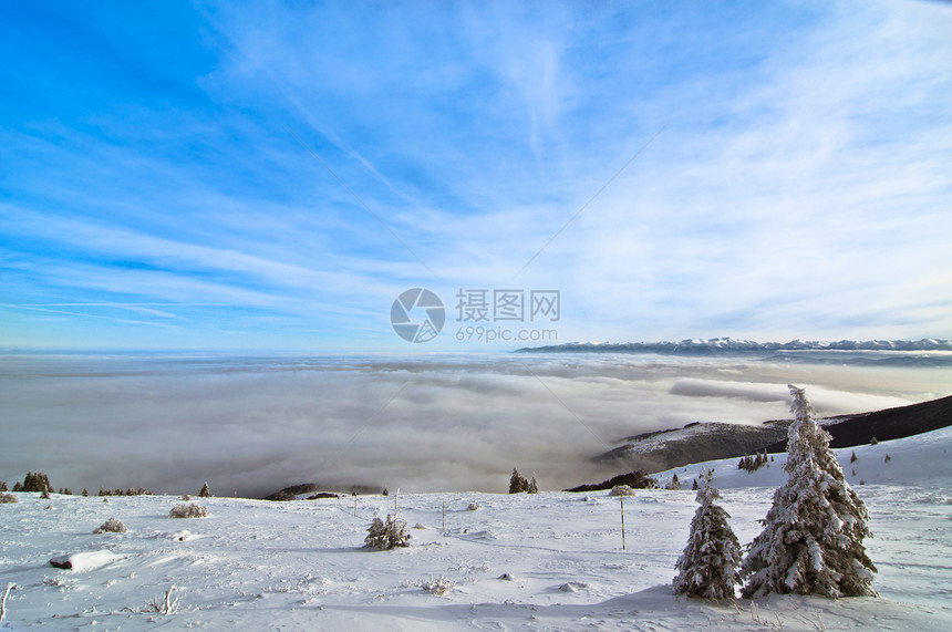 冬季风景地平线好天气阳光松树荒野全景山区蓝色薄雾白色图片