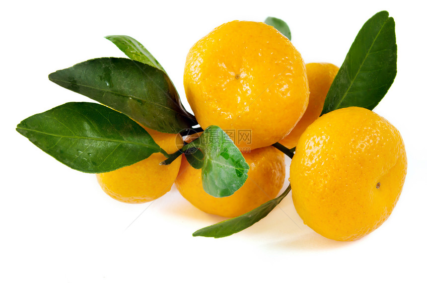 新鲜水果橙子团体叶子白色绿色食物黄色图片