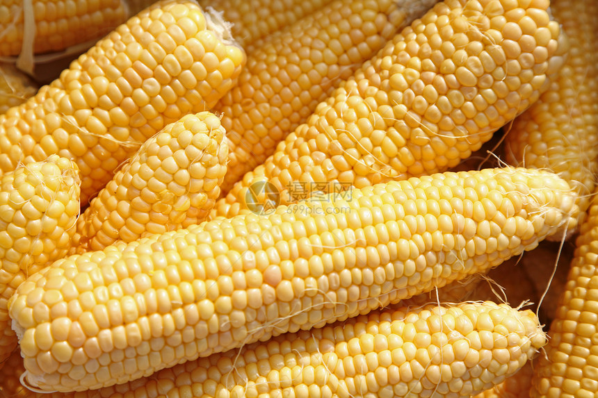 新鲜玉米饼团体黄色蔬菜爆米花迷宫食物玉米玉米芯金子农场图片