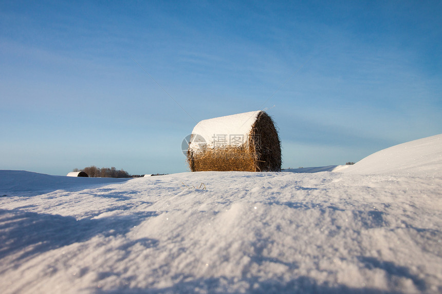 田地上积雪中沉积的干草蓝色小麦旅游房子暴风雪场地牧歌天空远景农村图片
