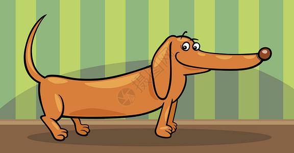 卡通猎狗dachshund 狗卡通插图剪贴小狗鼻子房间吉祥物漫画房子快乐卡通片棕色背景