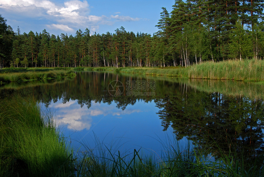 镜子湖绿色镜子荒野森林晴天反思墙纸林地环境白色图片