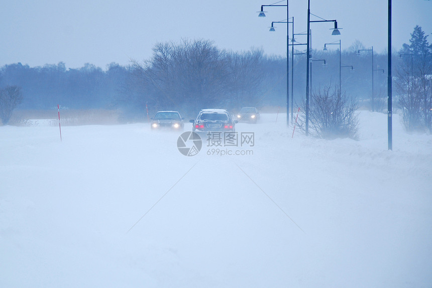 雪暴树木场景风暴汽车天气运输季节风景暴风雪旅行图片