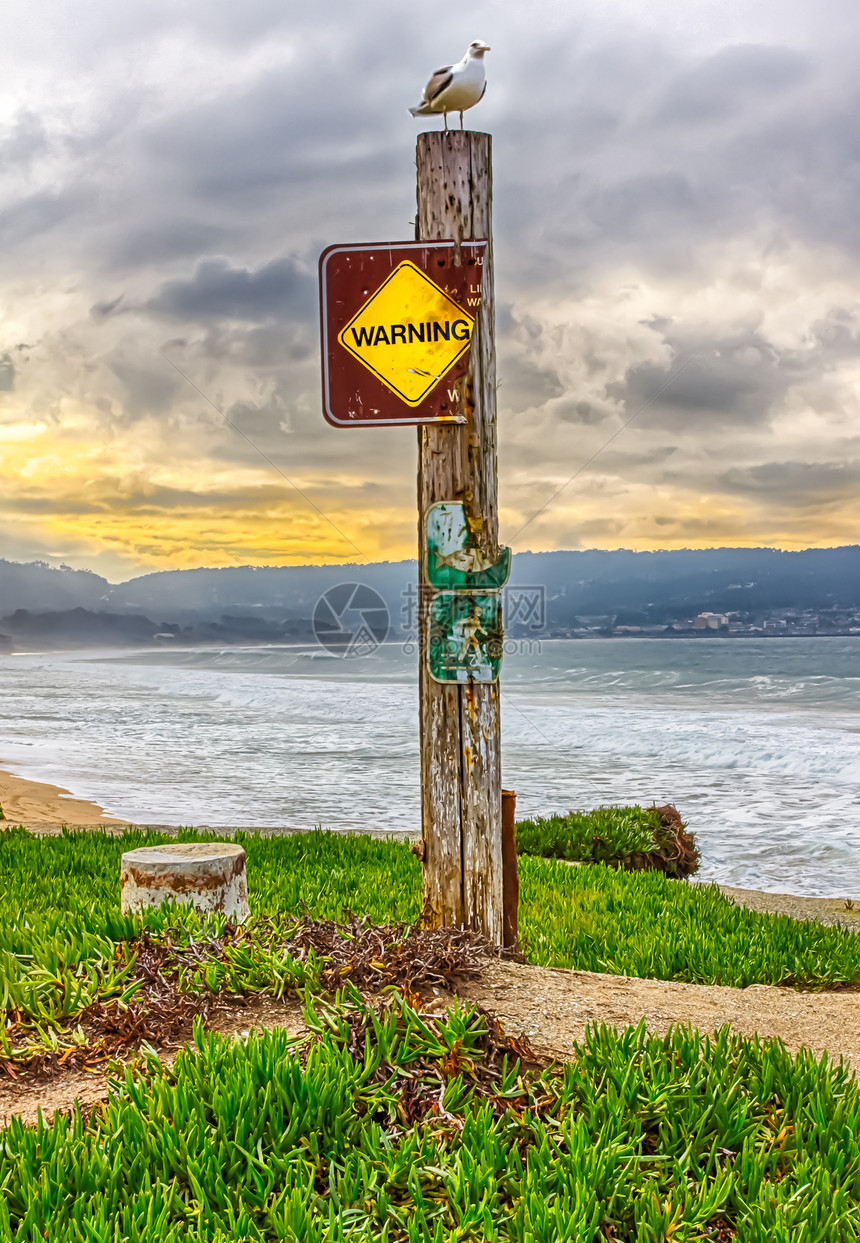 警告信号时的括号木头邮政冲浪海鸥危险天空日落色彩图片