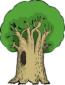 卡通橡木植物群树林绿色卡通片木头植物树干叶子植被橡树背景图片