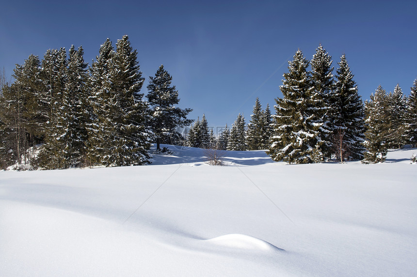 美丽的冬季风景天空季节晴天蓝色水晶荒野场地冻结阳光天气图片