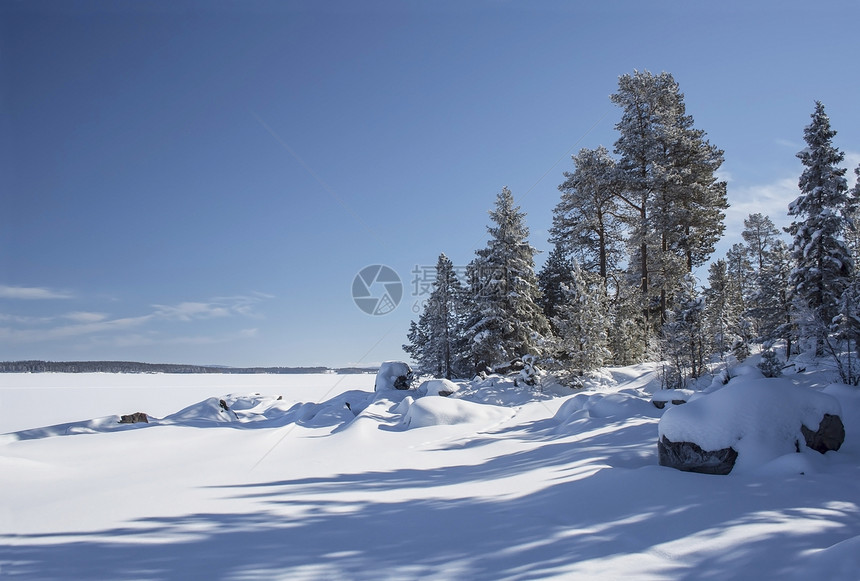 冬季风景阳光天气晴天美丽小路森林天空冻结水晶场地图片