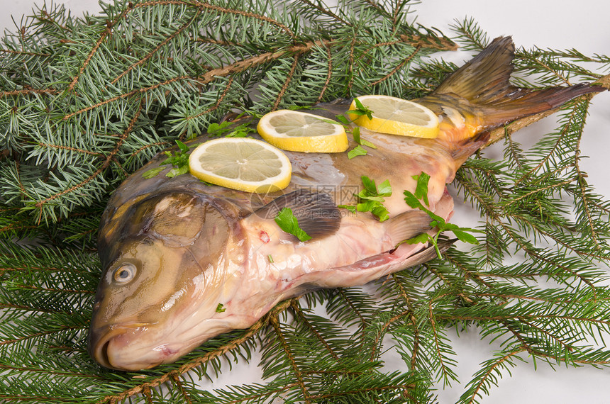 车食物水果钓鱼眼睛动物鲤鱼蔬菜薄荷主题熟食图片
