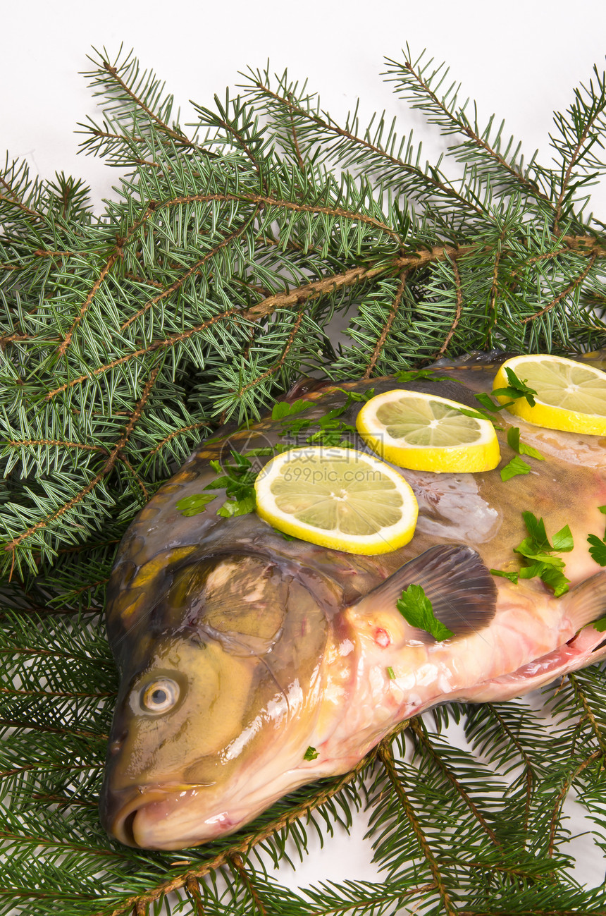 车主题金子健康鳟鱼水果蔬菜眼睛海鲜鲤鱼蓝色图片