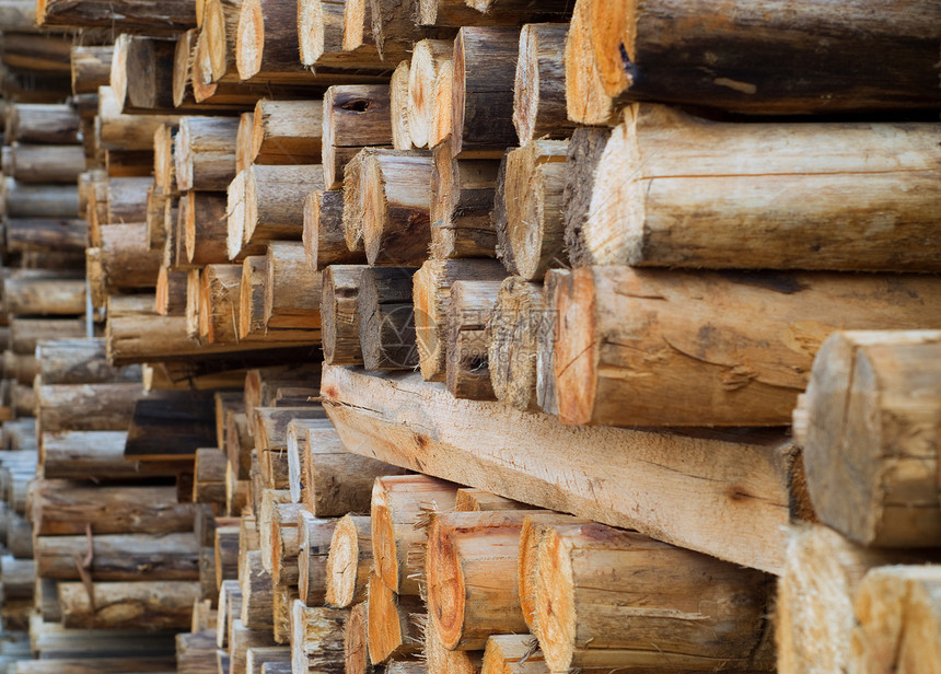 工厂仓库中的木材日志植物制造业店铺加工厂工业贮存林业木头图片