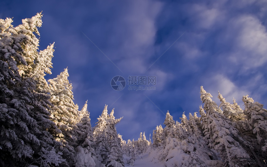 冬季山地景观阳光环境晴天季节天气天蓝色太阳森林蓝色天空图片