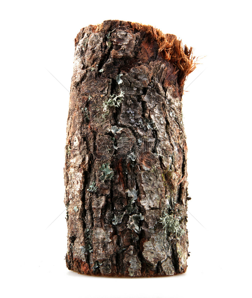 白纸上隔绝的火柴木原木森林烧伤白色分裂木材树干日志材料木头活力图片