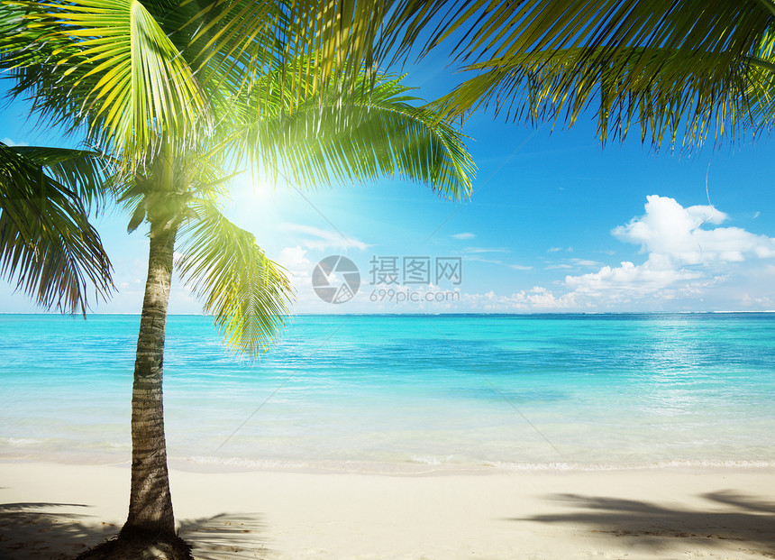 蓝色天空中的白云绿草地叶子假期热带植被支撑旅游海洋植物海岸线旅行图片