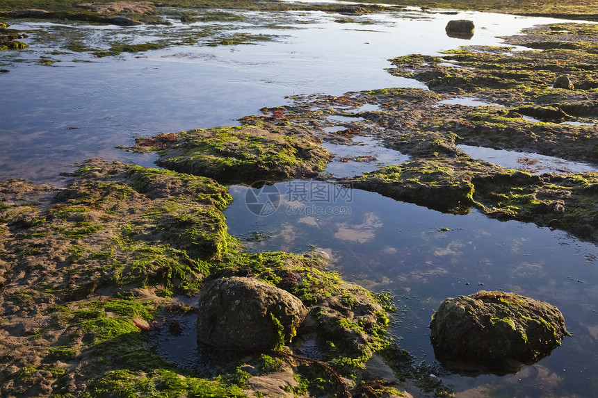 低潮的海岸蓝色盐水苔藓珊瑚反射石头橙子峡湾野生动物日落图片