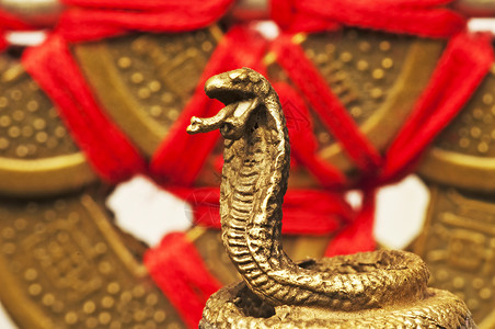 蛇风水一年硬币雕塑吉祥精神文化财富增强剂安全物品繁荣背景图片