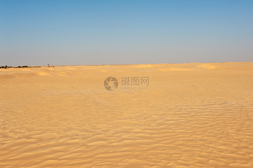 撒哈拉沙丘干旱天空蓝色金子海浪黄色脚印远景口渴风景图片