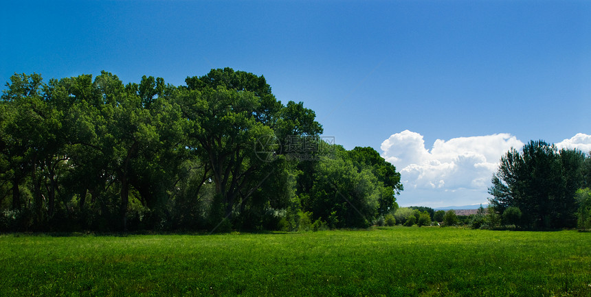 蓝Sk季节阳光晴天天空草地场景爬坡叶子天气牧场图片