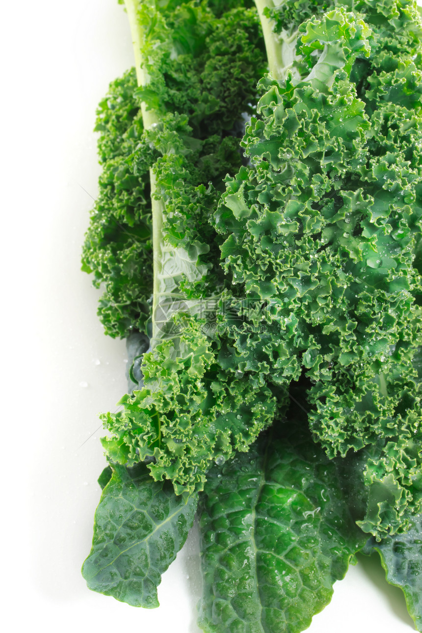 白色背景的卡勒绿色叶子健康饮食蔬菜食物图片