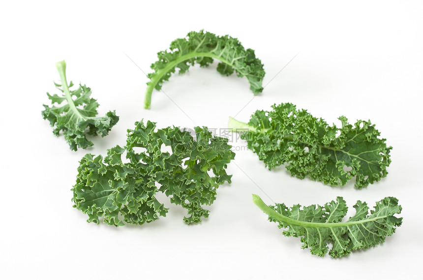 卡莱白色健康饮食蔬菜食物五物叶子绿色多叶图片