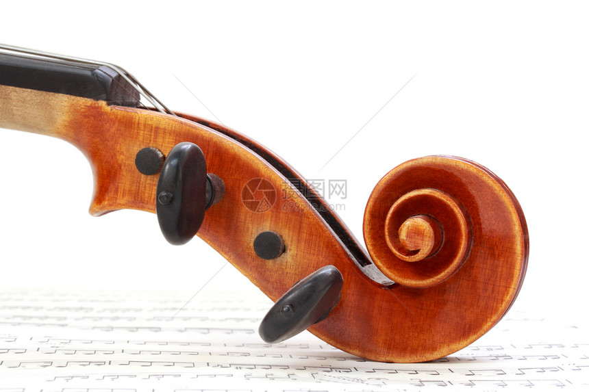 Violin 滚动乐谱小提琴音符乐器音乐细绳卷轴图片