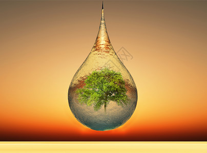 树和树自然生态气泡环境绿色背景图片