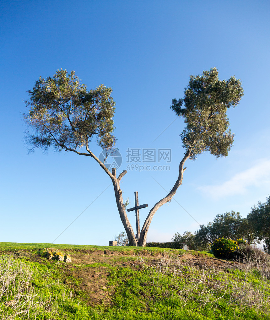 在温图拉加利福尼亚的树之间海滩天空地标历史性城市景观纪念碑建筑学旅游构图图片