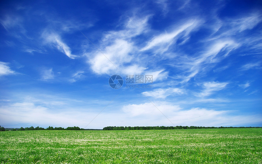 绿绿地农场草地牧场地平线季节天气草原太阳阳光植物图片