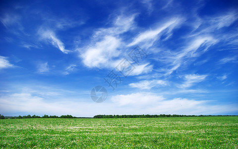 绿绿地农场草地牧场地平线季节天气草原太阳阳光植物背景图片