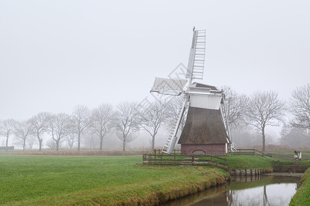 格罗宁根雾中的荷兰风车背景