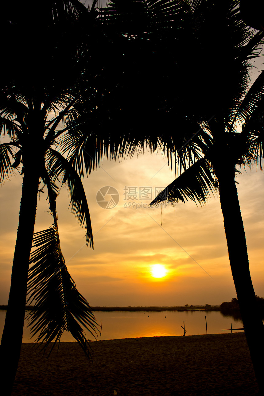 两棵椰子树和海滩日落的月光图片
