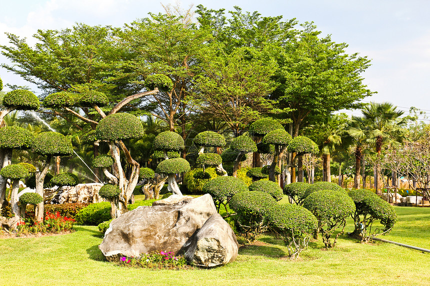 美丽的花园人行道瀑布奢华石头公园植物植物学绿化园艺溪流图片