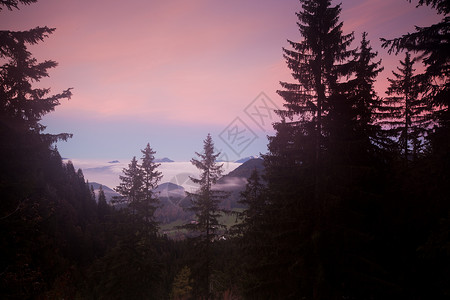 奥地利山地森林日落背景图片