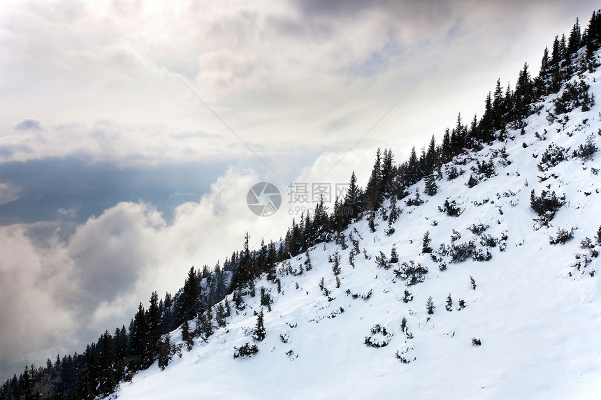 奥地利阿尔卑斯山国家白色木头图片