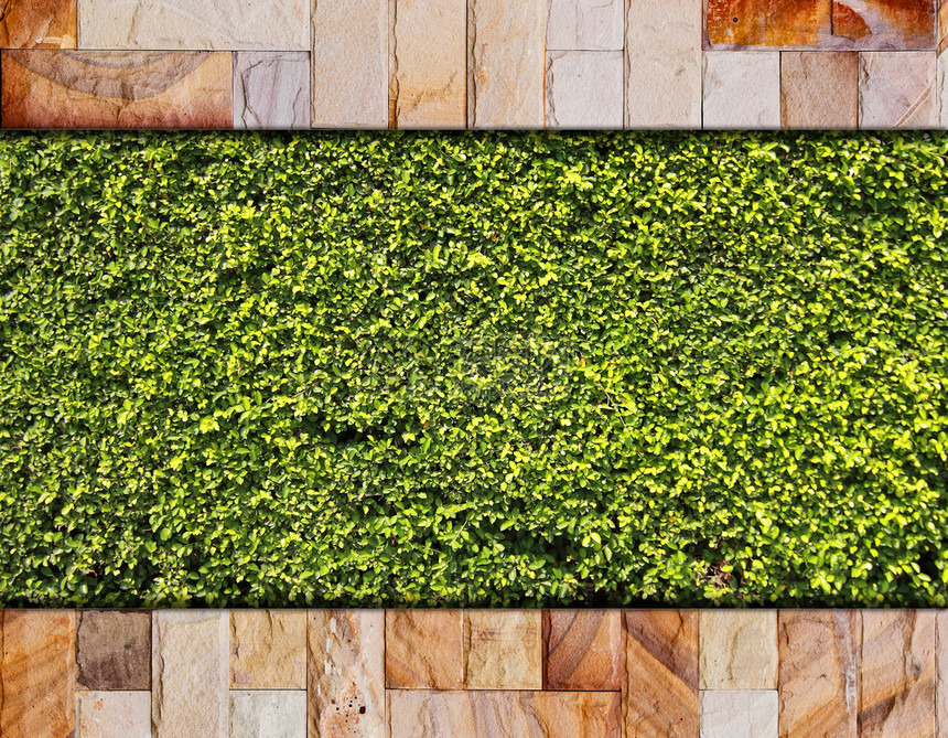 石砖墙和绿叶石头场地建造地毯石工地面草地衬套材料城市图片