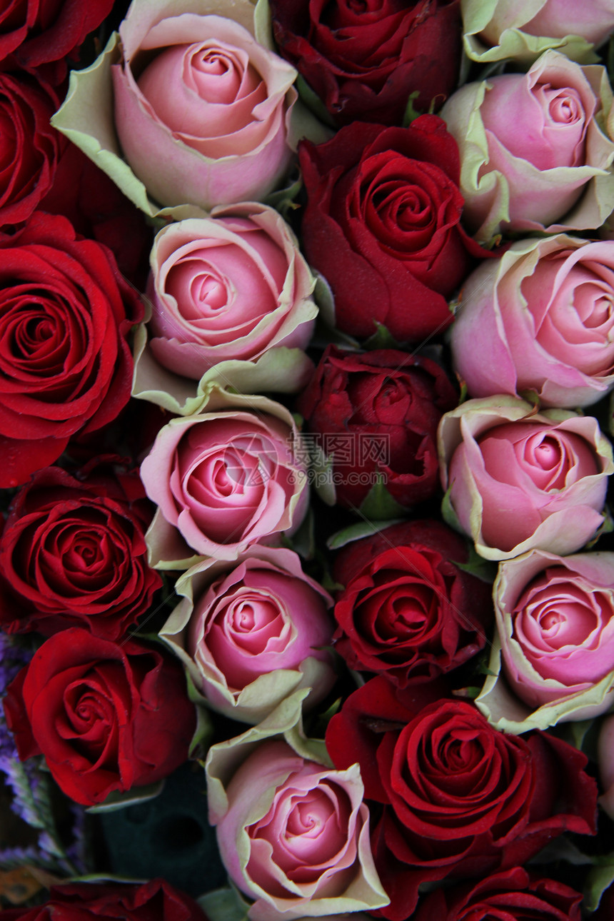 红色和粉红色的婚介中心装饰品植物花瓣粉色新娘玫瑰花店植物群花束花朵图片