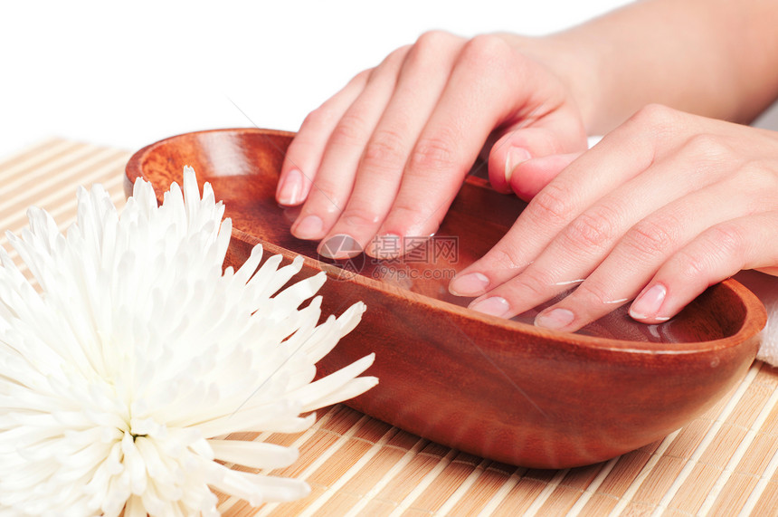 手工喷洒 修指甲概念女性中心温泉药品棕榈疗法沙龙奢华娱乐水疗图片